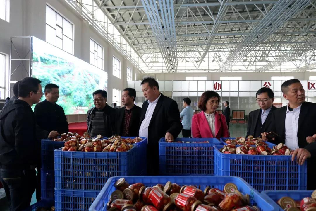 隆回军杰董事长儿子图片